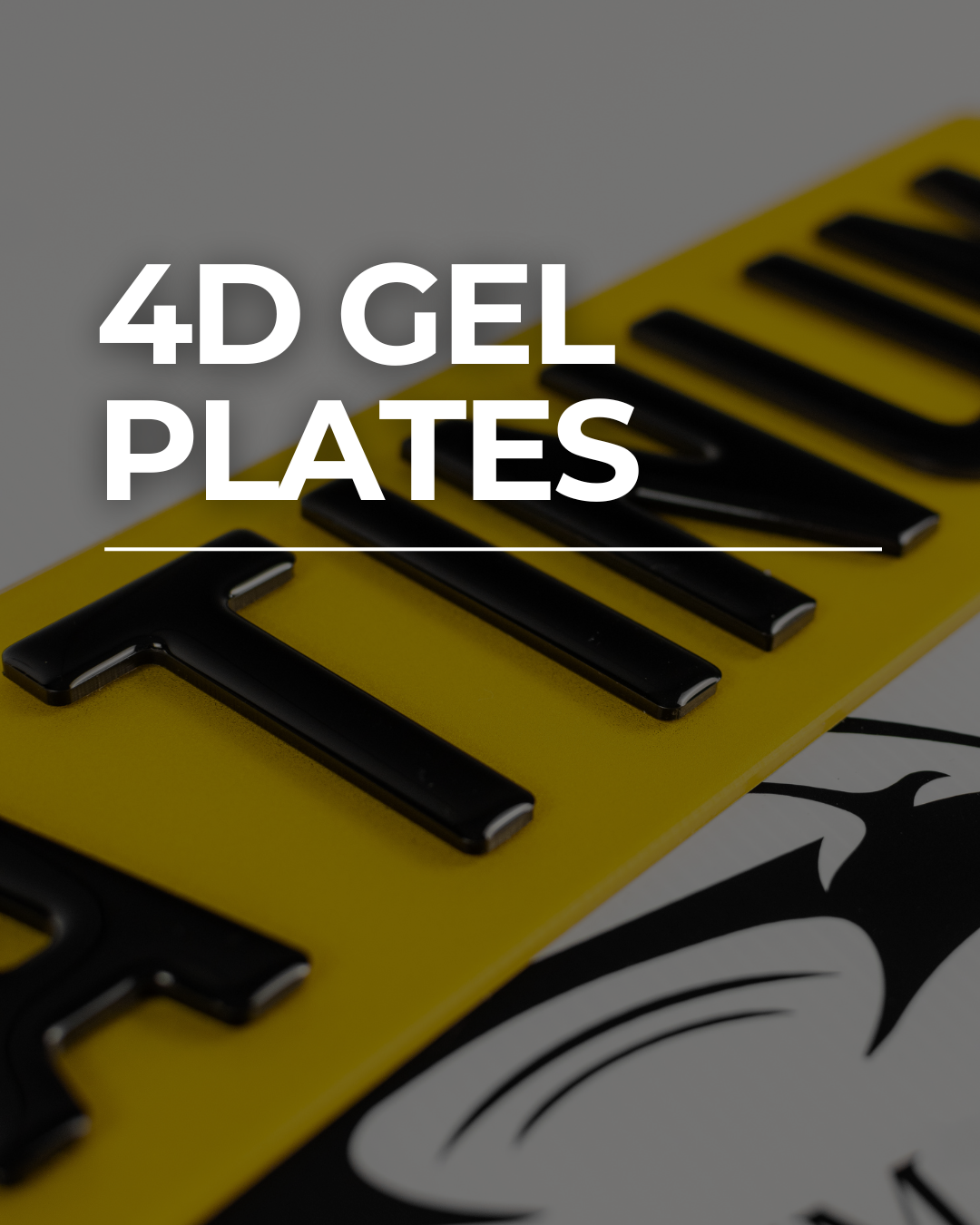 4D GEL PLATES